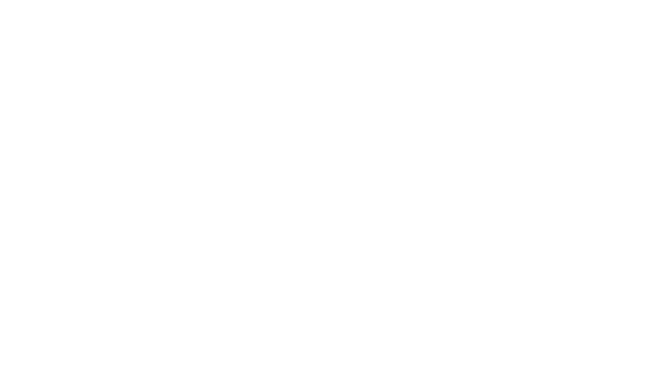 Logo Alpha Interior wit